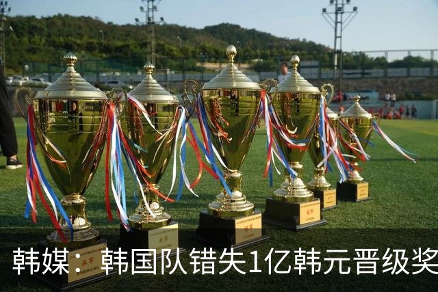 韩媒：韩国队错失1亿韩元晋级奖 但每人仍可拿8000万津贴